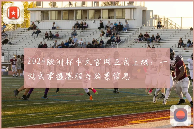 2024欧洲杯中文官网正式上线,一站式掌握赛程与购票信息